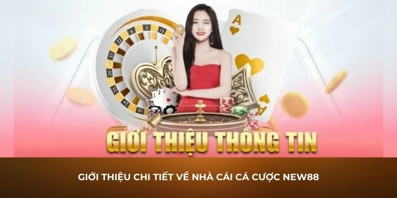 Một số thông tin có liên quan đến nhà cái NEW88